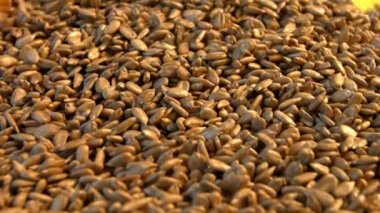 Kabuklu Ayçekirdeği sarı bir arka plan üzerinde. Ağır çekim. Yakın çekim. Dikey pan. 2 çekim