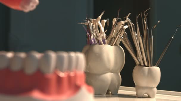 Many dental instruments and jaw. — Stock Video