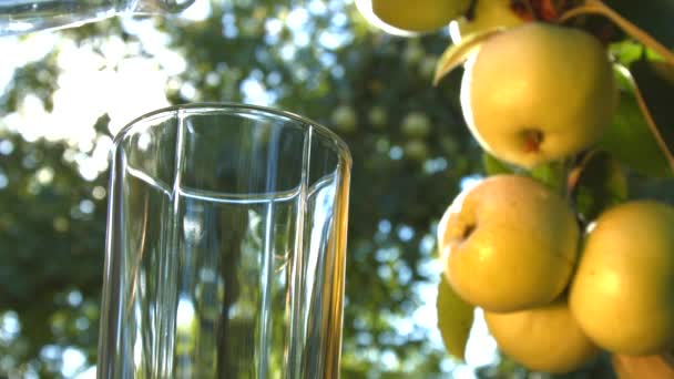 Apfelsaft auf dem Hintergrund des Apfelanbaus. Zeitlupe. — Stockvideo