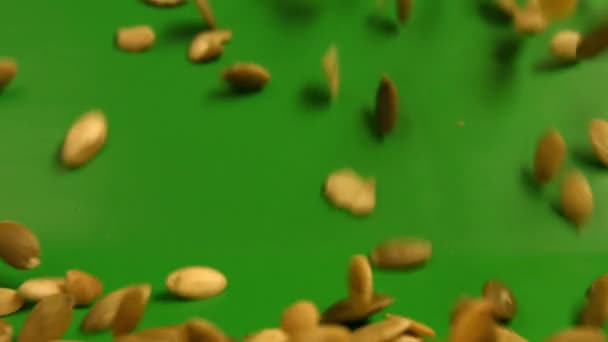 Shelled pumpkin seeds on a green background. Slow motion. Close-up. Vertical pan. 2 Shots — Stock Video