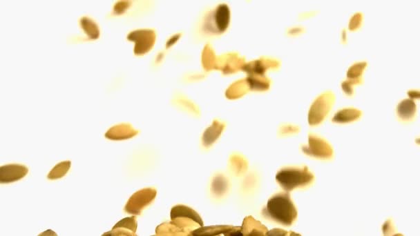 Shelled pumpkin seeds on a white background. Slow motion. Close-up. Horizontal pan. 2 Shots — Stock Video