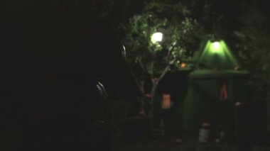 Bir kütüğün üzerinde iki balkabağı yatıyor. İlk başta görünmezler, sonra ışık yanar ve onları aydınlatır..