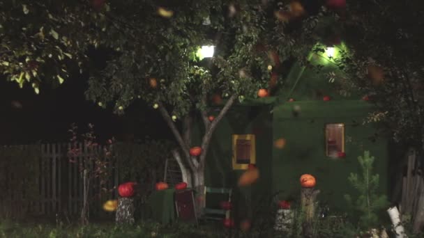 Maison Citrouilles Nuit Ralenti Une Petite Maison Verdoyante Décorée Citrouilles — Video