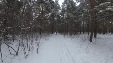 Kış ormanında koşuyor. Neşeli bir kız ormanda bir yol boyunca koşar. Durdu, gülümsedi ve ellerini salladı..