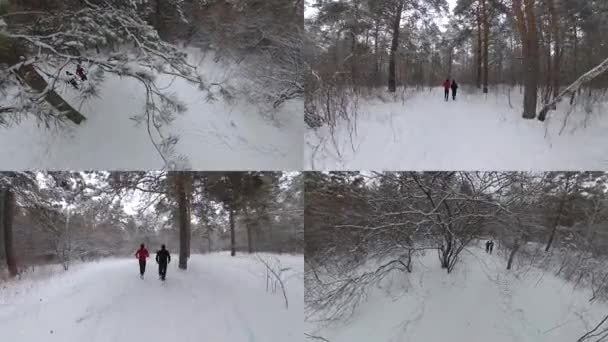 Joggar Vinterskogen Blandning Fyra Videor Två Killar Springer Genom Snöig — Stockvideo