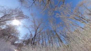 Karlı park. Kışın şehir parkı. Sabah ve güneşli hava. Pürüzsüz kamera hareketi. Baştan aşağı dönüyor..