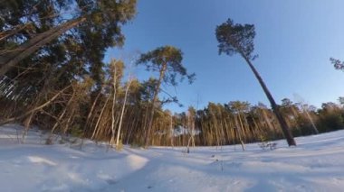 Karlı orman. Zaman aşımı. Kış ormanı Güneş, ağaç tepelerinin arkasında saklanıyor. Kameranın soldan sağa doğru hızlı dönüşü.