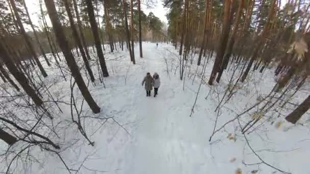 Sétálj Parkban Egy Lány Segít Idős Anyjának Futni Egy Téli — Stock videók