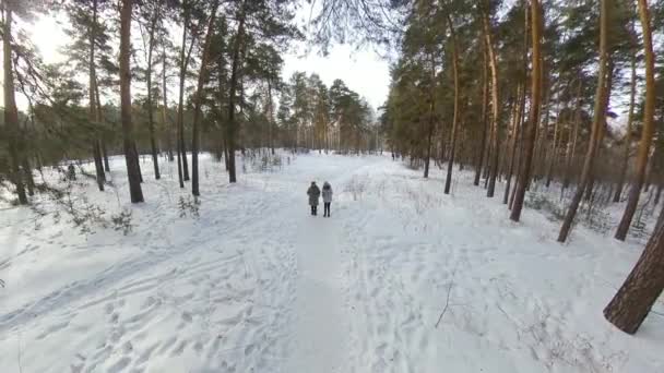 Caminhe Parque Uma Mulher Ajuda Sua Avó Correr Parque Inverno — Vídeo de Stock