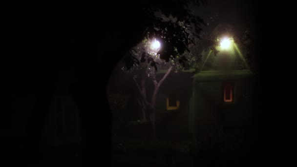晚上去神仙屋树间的黑暗中 有一个绿色的小精灵屋 前门开得很慢 — 图库视频影像