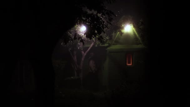 Fairy House Strange Man Man Opens Door Small Green House — Stock Video