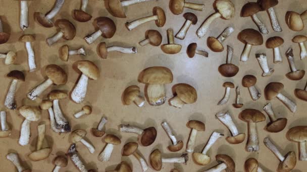 Paddenstoelen Een Bruine Houten Ondergrond Plat Gelegd Man Neemt Drie — Stockvideo