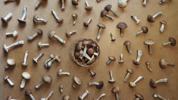 棕色木制背景上的蘑菇 平躺在床上男士们的手从桌上拿起一只篮子 上面放着褐色的帽子和香菇 — 图库视频影像