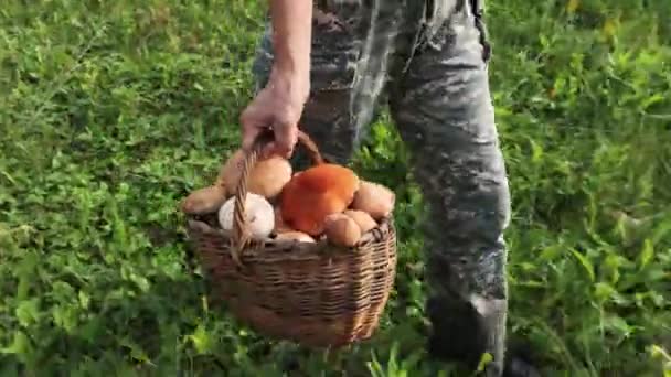 바구니가 여성이 버섯이 바구니를 잔디밭을 있습니다 — 비디오