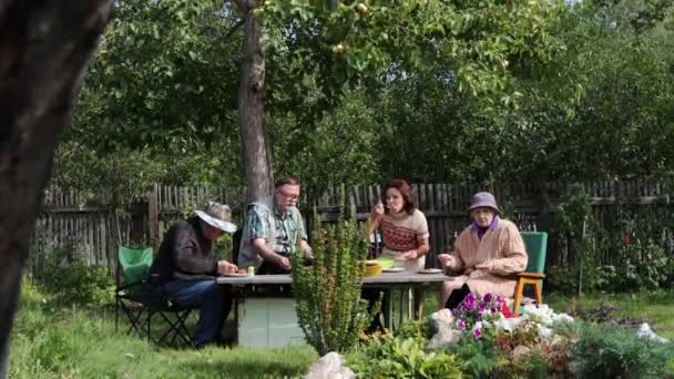 自然の中でピクニック 2ショット 家族は庭のテーブルに座っています 彼らは昼食をとっている 娘はお母さんの世話をしている — ストック動画