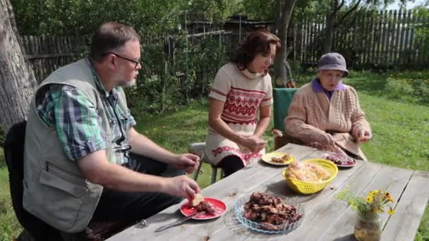 Barbecue Natura Shots Famiglia Seduta Tavolo Giardino Stanno Pranzando Primo — Video Stock