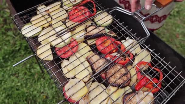 Grillade Grönsaker Naturen Skott Kvinna Bakar Grönsaker Grillen Grönsaker Skurna — Stockvideo