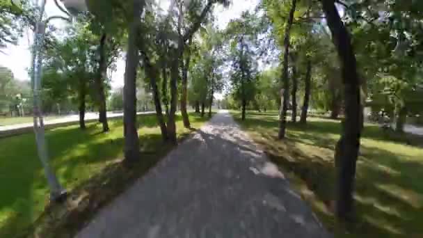 Kisvárosi Park Nyáron Kamera Gyorsan Halad Park Ösvényén Fák Zöld — Stock videók