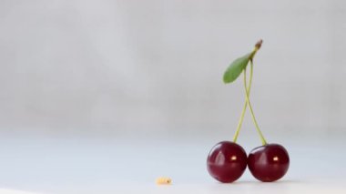 Küçük solucan ve kiraz. Açık gri arka planda yaprağı olan bir dalda bir çift kiraz. Yakınlarda bir solucan sürünüyor..