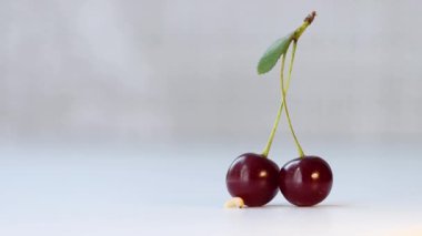 Küçük solucan ve kiraz. Açık gri arka planda yaprağı olan bir dalda bir çift kiraz. Yakınlarda bir solucan sürünüyor. Yavaş çekim 4x.