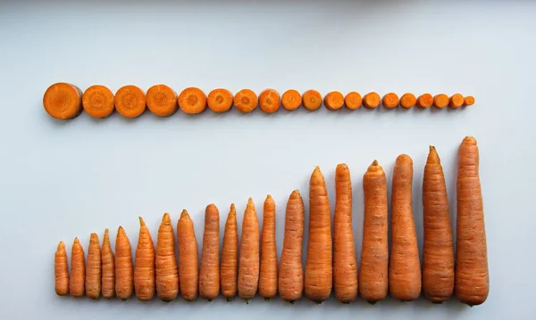 Carrots on a white background.Whole carrots and cut into pieces.The carrots are sorted by size from smallest to largest. Flat lay.