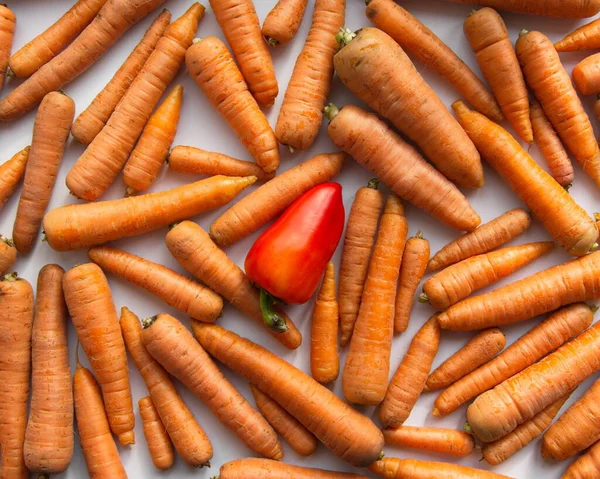Beyaz arka planda havuç ve biber. Bir kırmızı dolma biber havuçların arasında duruyor. Düz yatıyordu.