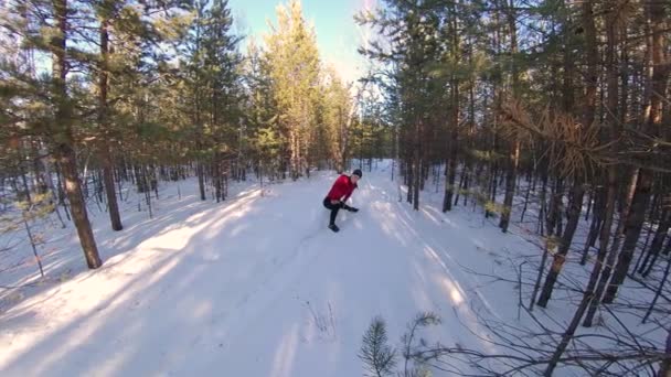 Riscaldati Fai Jogging Nella Foresta Invernale Due Colpi Uomo Allunga — Video Stock