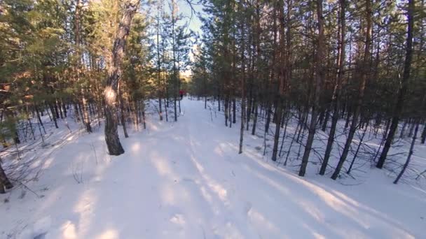 冬の森を走る 雪に覆われた森の道を走る男 彼は疲れていて呼吸が激しい ワイドショット — ストック動画