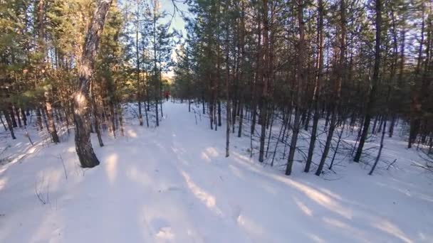 Běh Zimním Lese Muž Běží Zasněžené Lesní Cestě Končí Unavený — Stock video