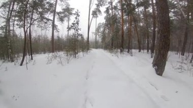 Kışın ormanda koşmak. Dış giysisi olmayan bir adam kar yığınlarında koşar. Vücudu sertleştirir ve zor koşullarda egzersiz yaparken dayanıklılığı artırır. Arkadan bak. Geniş açı. Pan.
