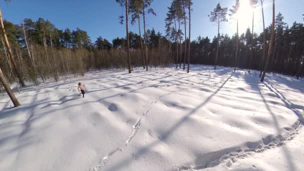 Bieganie Zimowym Lesie Mężczyzna Bez Odzieży Wierzchniej Biegnie Przez Zaspy — Wideo stockowe