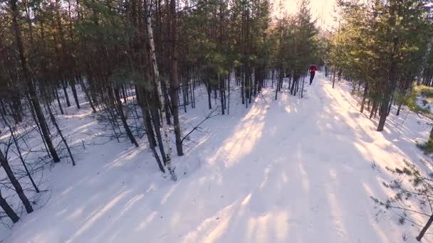Courir Dans Forêt Hiver Coups Feu Homme Court Long Sentier — Video