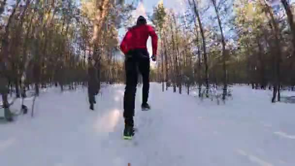 Hardlopen Het Winterbos Twee Schoten Een Man Rent Een Besneeuwd — Stockvideo