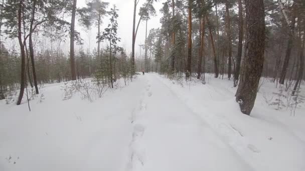 冬の森を走る アウターウェアのない男が雪のドリフトを走り抜ける それは厳しい条件で行使するときに体を硬化させ 耐久性を向上させます ワイドショット — ストック動画