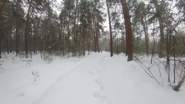 Correre Nella Foresta Invernale Uomo Senza Capispalla Corre Attraverso Cumuli — Video Stock