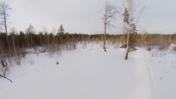Kış Ormanında Eğitim Dış Giysisi Olmayan Bir Adam Kar Yığınlarında — Stok video