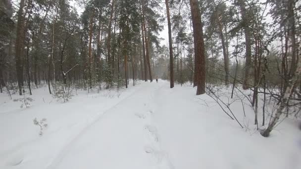 冬の森を走る スローモーション2X アウターのない男が雪のドリフトを走り抜けます それは厳しい条件で行使するときに体を硬化させ 耐久性を向上させます ワイドショット — ストック動画