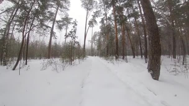 Springer Vinterskogen Långsamma Rörelser Man Utan Ytterkläder Löper Genom Snödrivorna — Stockvideo