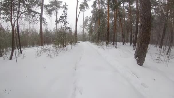 Corriendo Bosque Invierno Movimiento Lento Hombre Sin Ropa Exterior Corre — Vídeos de Stock