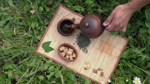 Tea Természetben Lapos Fekvés Lassú Mozgás Száraz Főzött Zöld Tea — Stock videók