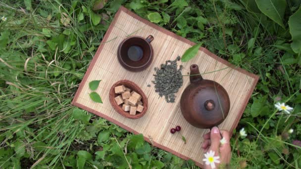 Čaj Přírodě Ležel Zpomalený Pohyb Suchý Uvařený Zelený Čaj Bambusovém — Stock video