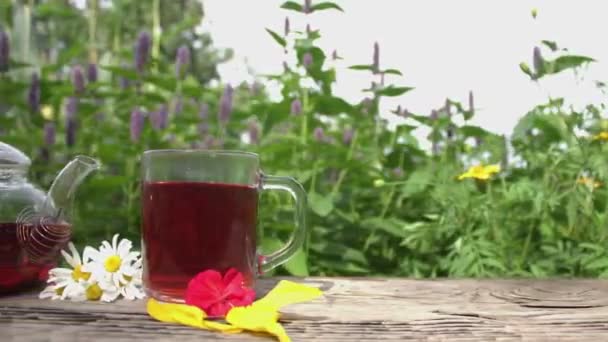 Naturaleza Bodegón Con Hibisco Sobre Fondo Menta Floreciente Preparado Seco — Vídeo de stock