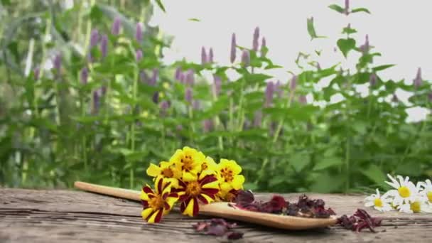 Thee Natuur Slow Motion Stilleven Met Hibiscus Thee Een Achtergrond — Stockvideo