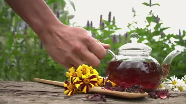 Tee Der Natur Zeitlupe Stillleben Mit Hibiskustee Vor Dem Hintergrund — Stockvideo