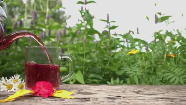 Чай Природе Slow Motion Натюрморт Гибискусом Чай Фоне Цветущей Mint — стоковое видео