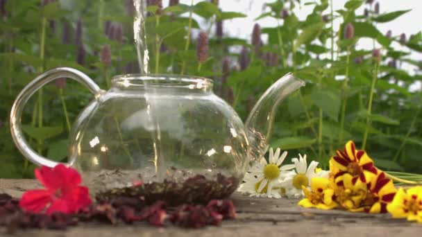 天然的草药茶 慢动作2X 注意力不集中 在开花结果的基础上 清静地生活着 将沸腾的水倒入茶壶中 一个人的手盖住茶壶 — 图库视频影像