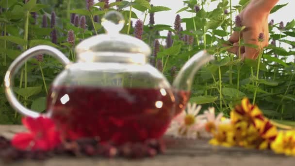 Chá Ervas Chá Preto Chá Hibisco Calêndula Cravo Cardomon Canela — Vídeo de Stock