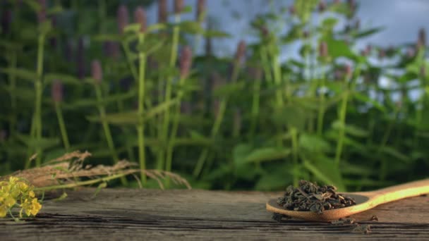 Thee Natuur Slow Motion Stilleven Met Groene Thee Tegen Achtergrond — Stockvideo