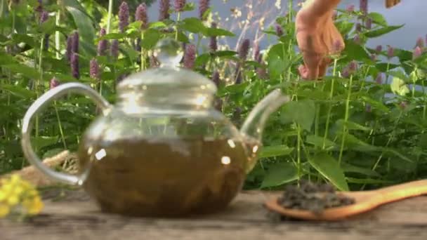 Thee Natuur Slow Motion Concentreer Stilleven Met Groene Thee Tegen — Stockvideo