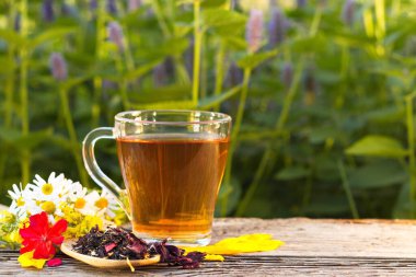 Doğada bitki çayı. Bitki çayıyla (siyah çay, amberçiçeği çayı, calendula, karanfil, kardomon, tarçın) yaşam, çiçek açan nanenin arka planında. Hazırlanmış çay, kuru çay, gül yaprakları ve papatya çayı eski ahşap bir masada..